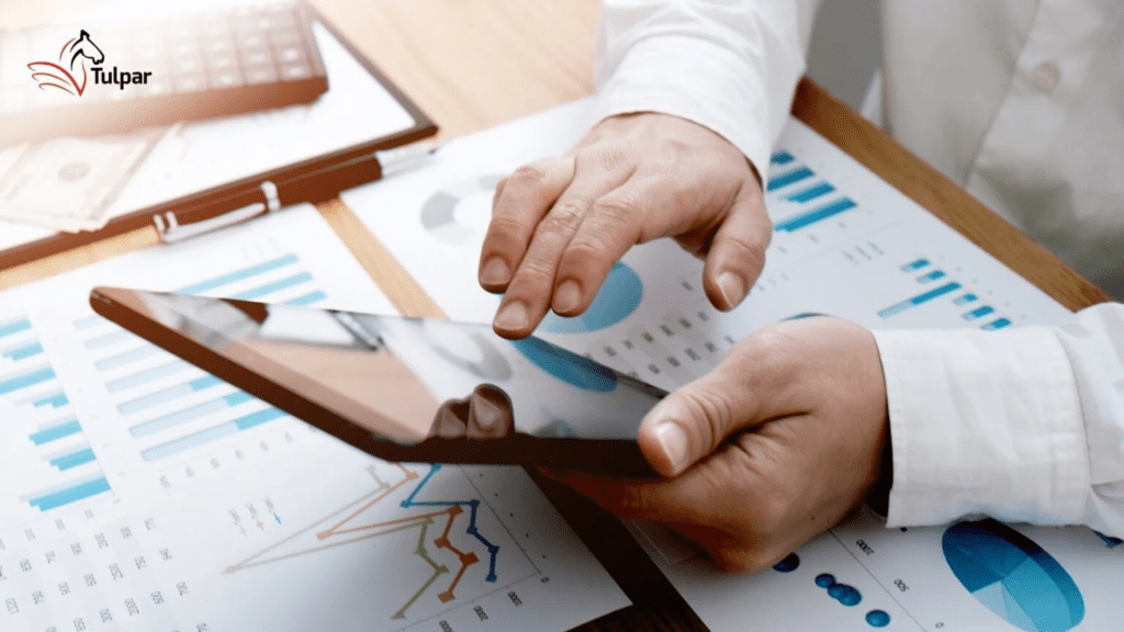 阿联酋内部审计师