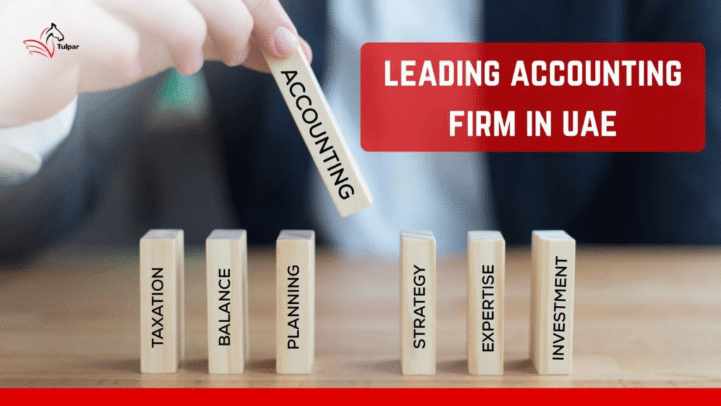 在阿联酋领先的会计事务所