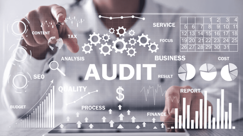 增值税（VAT）审计过程