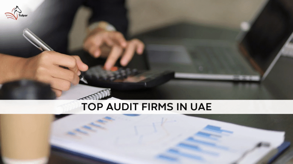 阿联酋顶级审计公司