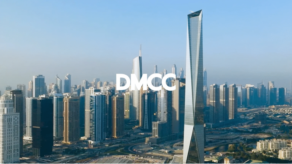 为什么审计财务报表对DMCC公司至关重要