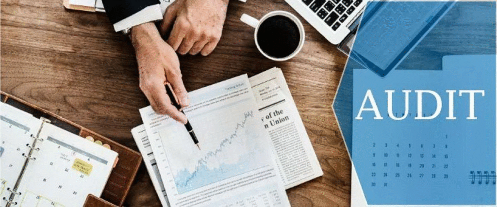 理解阿联酋的税务审计服务