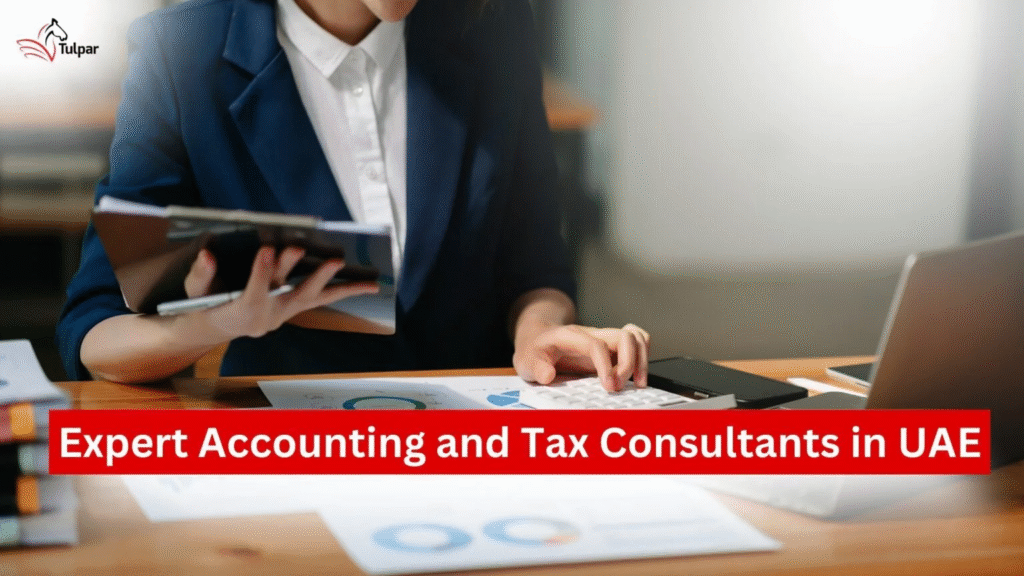 阿联酋专业会计与税务顾问