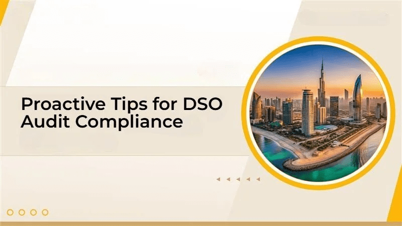 DSO审计合规的主动性建议