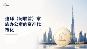 Tokenization-for-Family-Offices-in-Dubai-UAE-chinese-