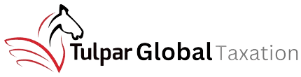 Tulpar Global Taxation Career