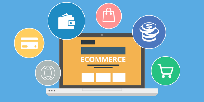 What is an E-commerce License?