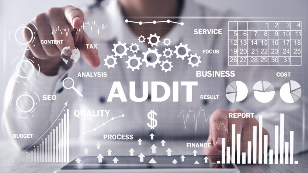The VAT Audit Process