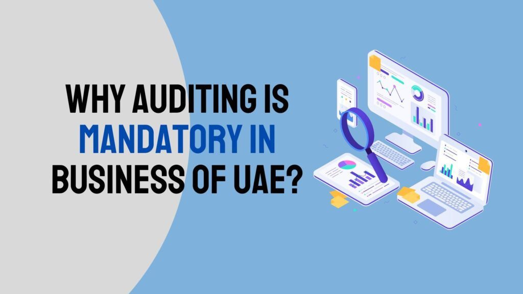 The Importance of Regular Audits for UAE Businesses