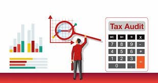 Steps to Prepare for a Tax Audit