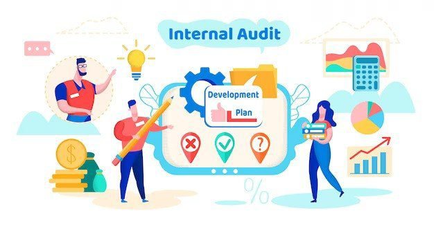 The Role of Internal Auditors