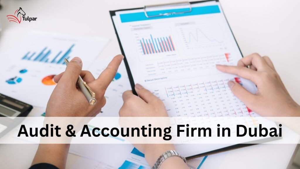 Audit & Accounting Firm in Dubai