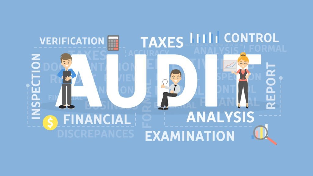 Understanding the Audit Process