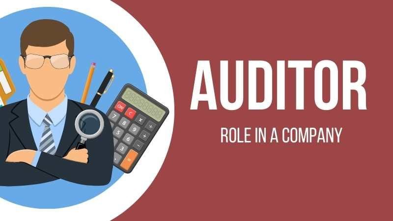 Roles and Responsibilities of Tax Auditors