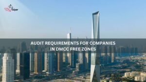 Audit Requirements for Companies in DMCC Free Zones