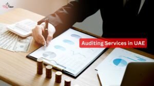 Auditing Services in UAE