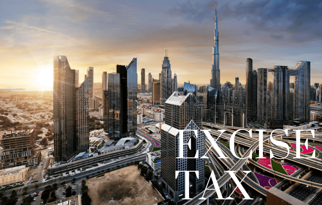 Excise Tax Return in the UAE