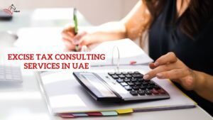 External Auditors in UAE