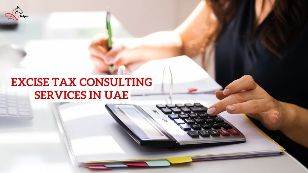 Excise tax consulting services in uae