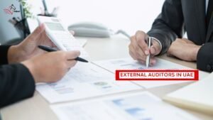 External Auditors in UAE