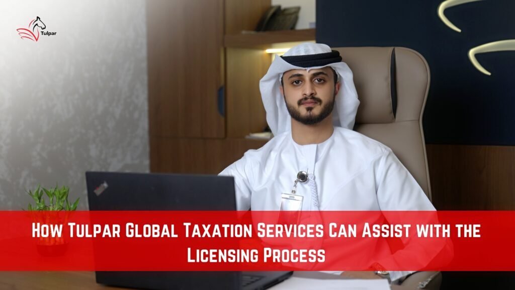 How Tulpar Global Taxation Services Can Assist with the Licensing Process