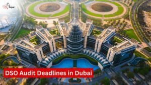 DSO Audit Deadlines in Dubai