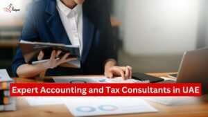 Expert Accounting and Tax Consultants in UAE