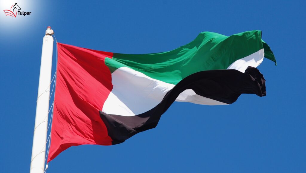 UAE Cabinet Decision No. 34 of 2026: Tax Exemption Rules for QIFs, QLPs, and REITs in UAE
