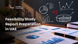 Feasibility Study Report Preparation in UAE