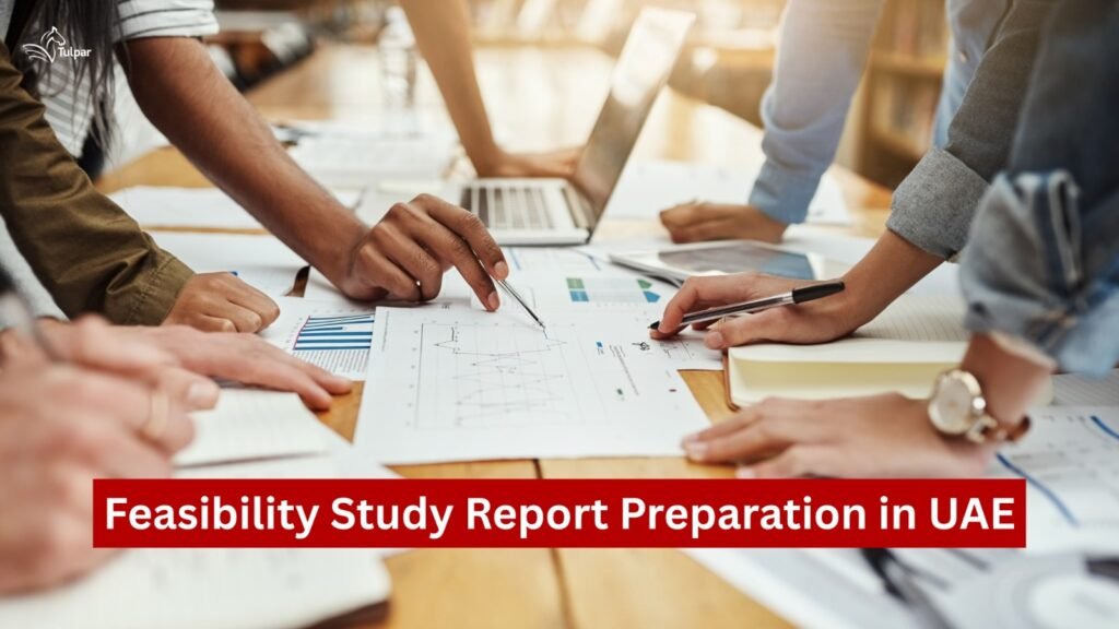 Feasibility Study Report Preparation in UAE