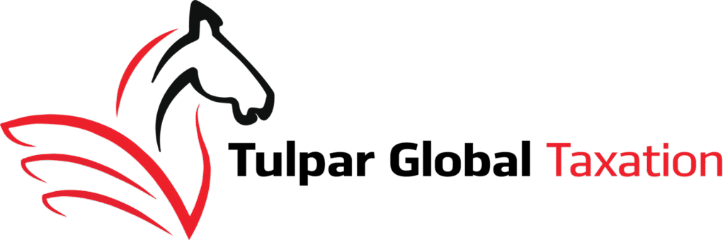 Tulpar Global Taxation - Logo